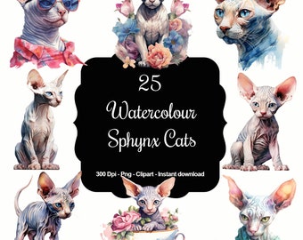 Bare Elegance: 25 Watercolor Sphynx Cats Clipart Collection