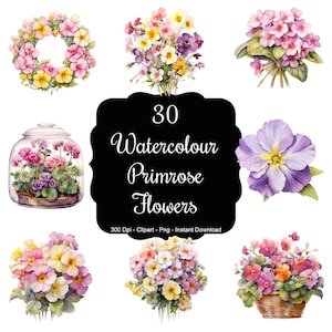 Primrose Path: 30 akwarelowych kwiatów pierwiosnka clipart zestaw