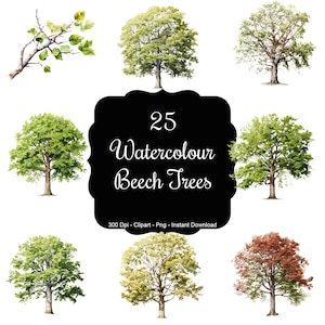 May include: A set of 25 watercolor illustrations of beech trees in various shades of green, yellow, and brown. The trees are isolated on a white background. 300 Dpi - Clipart - Png - Instant Download.