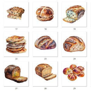 May include: A collection of 15 watercolor illustrations of various breads, including focaccia, sourdough, and rolls. The illustrations are arranged in a grid of five rows and three columns.