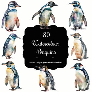 30 pingüinos en acuarela, imágenes prediseñadas de alta calidad, descarga instantánea, 300 ppp, archivos PNG transparentes, uso comercial