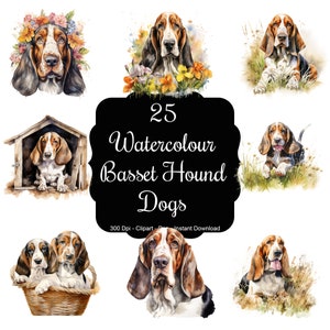 Melancholische melodieën: 25 aquarel Basset Hounds clipartset