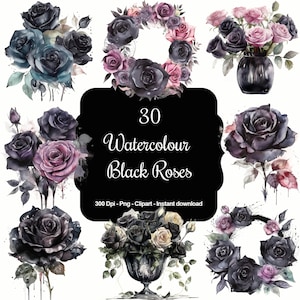 Fleur de minuit : ensemble de 30 roses noires aquarelles