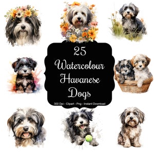 Havaneser Harmonie: 25 Aquarell Havaneser Hunde Clipart Set