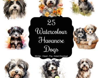 Havanese Harmony: 25 Watercolour Havanese Dogs Clipart Set