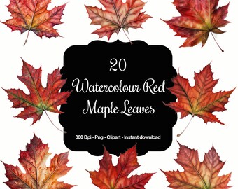 20 Aquarell rote Ahornblätter, Herbst, Herbstlaub, hochwertige Clipart, Sofortdownload, 300 Dpi, transparente PNG-Dateien, kommerzielle Nutzung