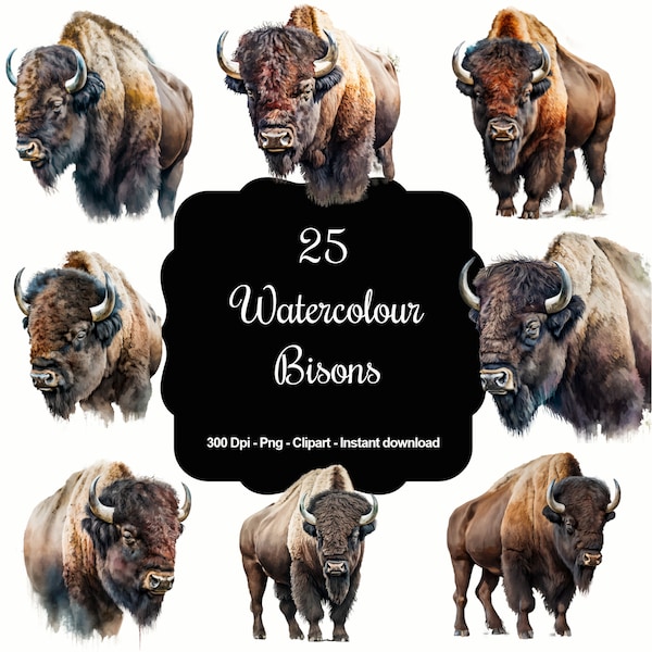 25 Watercolour Bison, High Quality Clipart, Instant Download, 300 Dpi, Transparent PNG Files, Commercial use