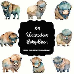 Prairiekalveren: 24 aquarel schattige babybizon clipartset