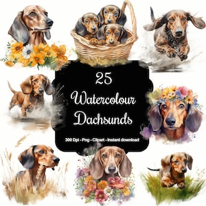 Dackel-Delights: 25 Aquarell-Dackel-Clipart-Set