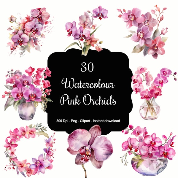 Blush Blossoms: 30 Watercolour Pink Orchids Clipart Set