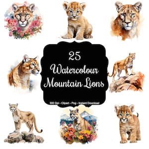 Mountain Majesty: set di 25 clipart di leoni di montagna ad acquerello