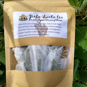 Yerba Santa Tea (Eriodictyon crassifolium)