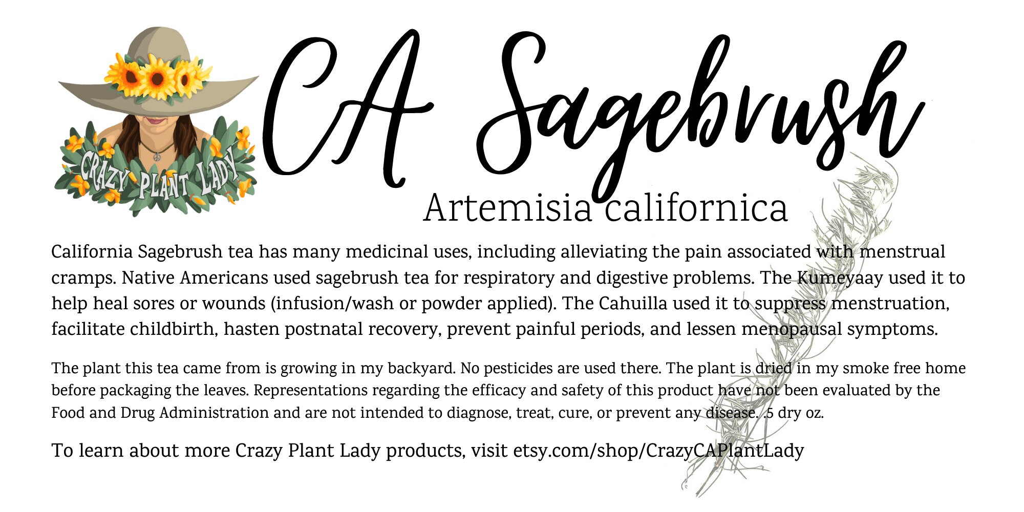 California Sagebrush Tea Artemesia californica Etsy