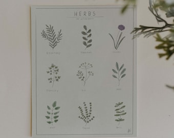 Herbs for witchcraft | Botanical Print