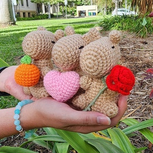 Emotional Support Capybara Plush | Handmade Crochet Capybara | Cute Capybara Gift | Kawaii Plush | Capybara Stuffed Animal | Amigurumi Plush