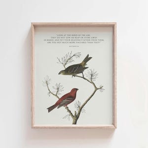 Matthew 6:26 Look At The Birds, Scripture Wall Art, Christian Printable Bible Verse Decor, Minimalist Nature Faith Quote Digital Download