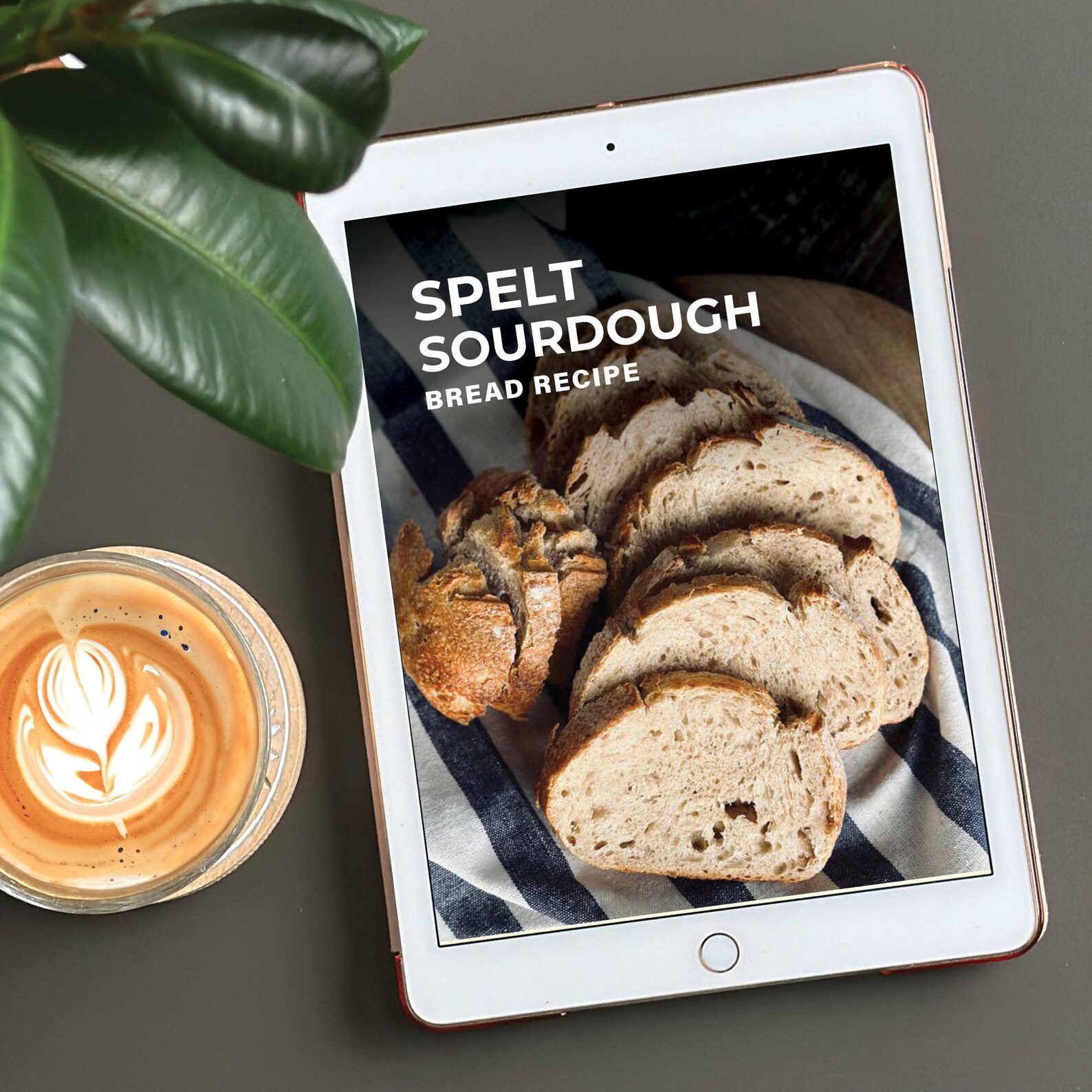 100-spelt-sourdough-bread-recipe-white-whole-grain-wholemeal-spelt