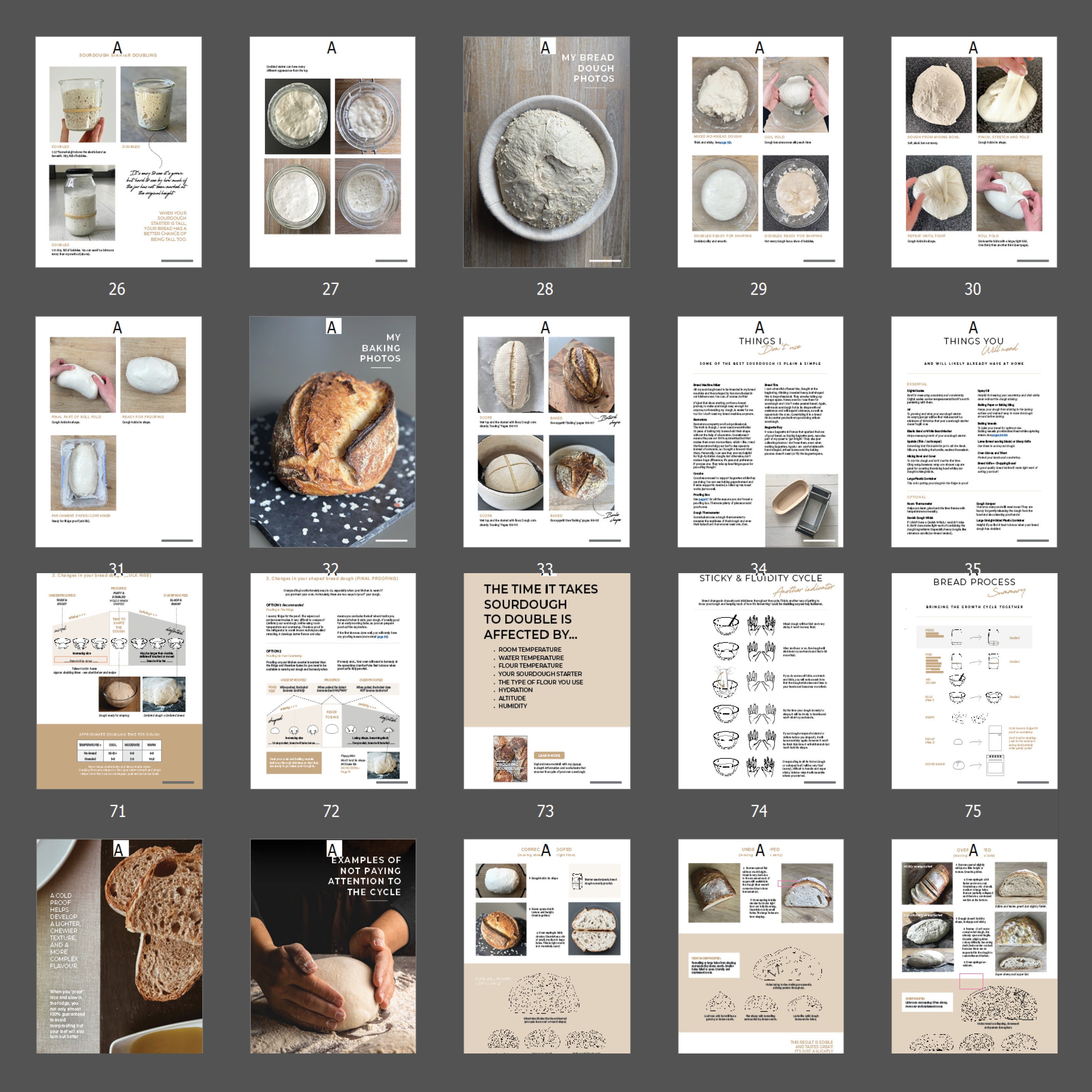 Sourdough Beginners & Ultimate Troubleshooting Guide Fix Flat Sourdough