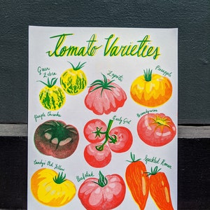 Tomate Risograph Print 8.5"x11" / Tomate Heirloom Lámina artística