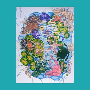 May include: A colorful illustration of a marine ecosystem, featuring various sea creatures and plants. The artwork includes crabs, starfish, and seaweed, all within a blue water setting. The style is detailed, with a focus on the textures and forms of the marine life.