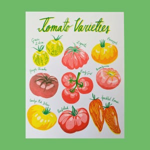 Tomato Risograph Print | 8.5"x11"