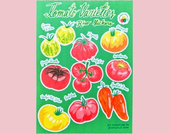 Heirloom Tomato Varieties Risograph Sticker Sheet | 5"x7" Waterproof Vinyl
