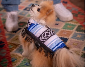 Pancho de perro hecho a mano en México
