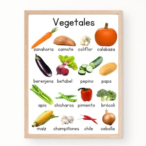 SPANISH Educational Vegetables Poster, Real Images, Food Montessori, Spanish Homeschool, Spanish Montessori, Digital Download, Printable