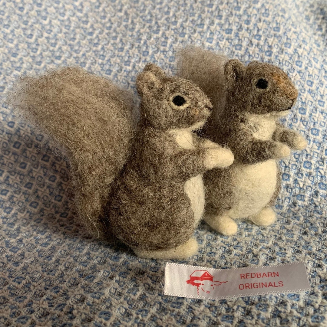 Kit Squirrel Needle Felting Kit for 2 Squirrels Felting Needles Included Wool Kit DIY Felting