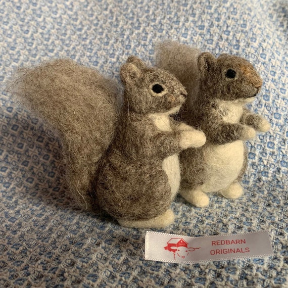 Kit Squirrel Needle Felting Kit for 2 Squirrels Felting Needles Included  Wool Kit DIY Felting Kit Fiber Art Felt Animal Kit 