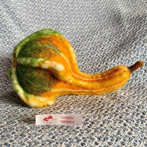 Kit Gourd Needle Felting Kit  Easy Autumn Craft Kit  Fall decor Kit DIY Felting Wool