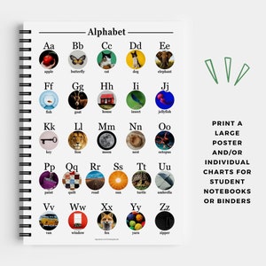 Alphabet Chart Bookface Montessori Phonics Poster Educational Resources Reading Homeschool & Kid's Room Décor PDF JPEG Printable image 6