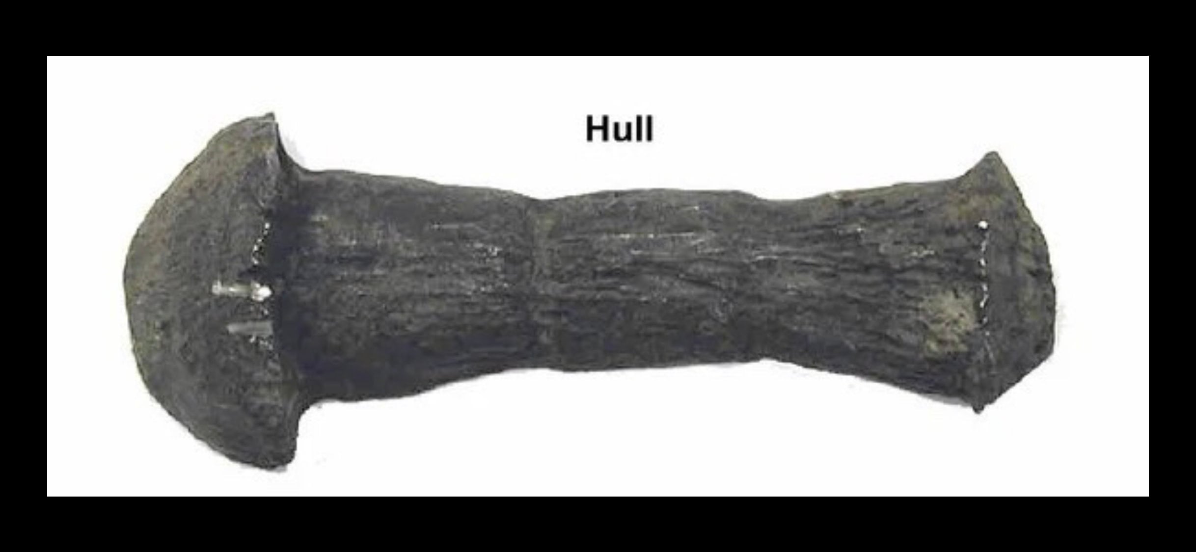 RMS Titanic Recovered Rivet Replica Etsy