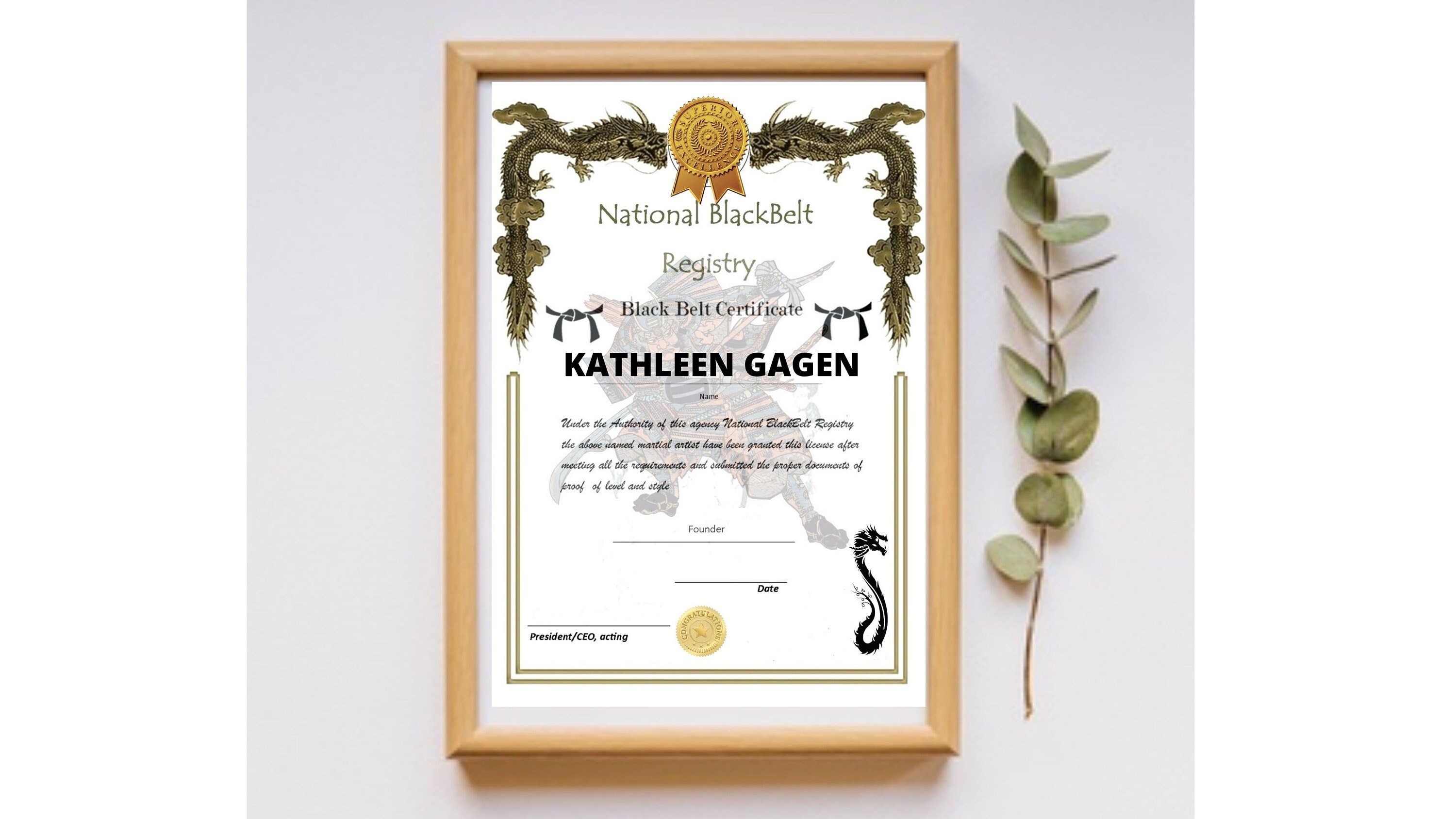 Martial Arts Certificate National Black Belt Registry Ideal Men's Gift