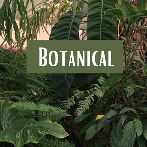 Botanical stickers