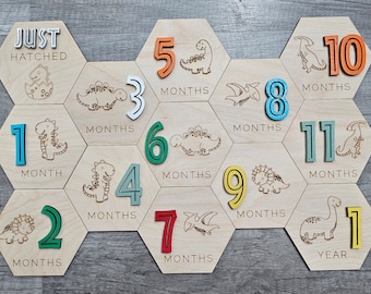 Baby monthly milestone marker, monthly baby pics, monthly dinosaur sign, baby shower gift, baby boy picture props, personalized baby