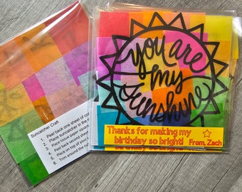 Mini Sunshine Suncatcher Craft Kit: Spring Kid's Activity