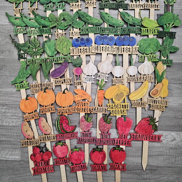Hand-Painted Wood Garden Markers: Herb & Veggie Stakes