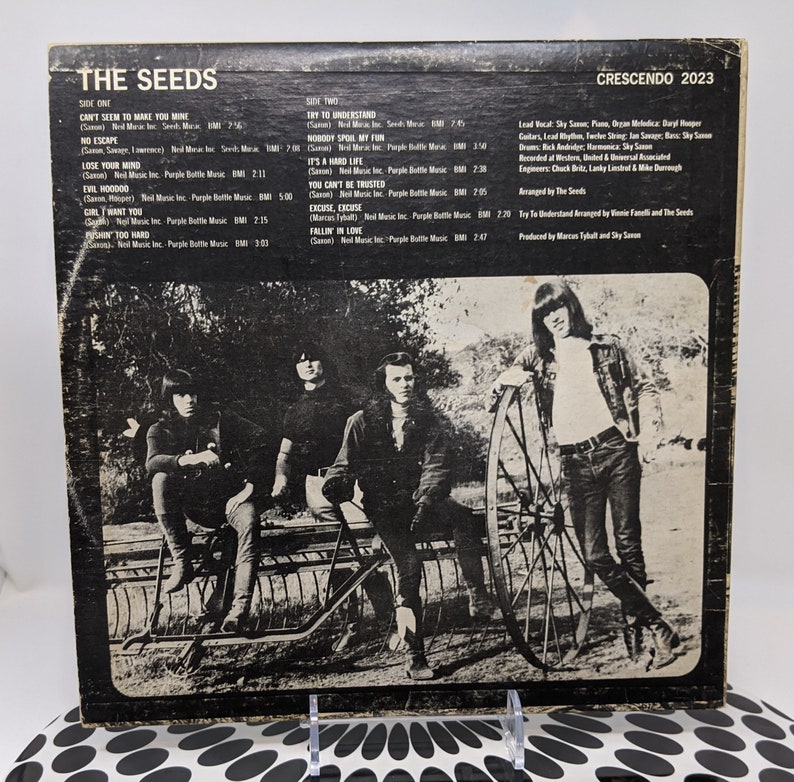 RARE GARAGE ROCK the Seeds Etsy