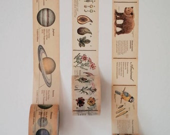 Echantillons de ruban washi - France | 1 m | encyclopédie, système solaire, animaux, plantes | mt EX | pour le scrapbooking, décoration de journal