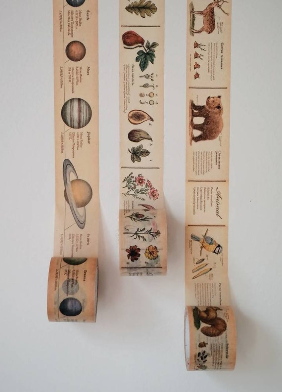Washi tape samples - France | 1m | encyclopédie, système solaire, animaux, plantes | mt EX | for scrapbooking, décoration de journal