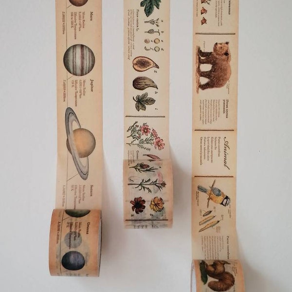 Echantillons de ruban washi - France | 1 m | encyclopédie, système solaire, animaux, plantes | mt EX | pour le scrapbooking, décoration de journal