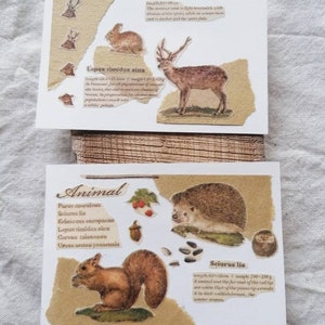 May include: A collage of animal illustrations with text descriptions. The animals include a deer, a rabbit, a squirrel, a hedgehog, and a bird. The text describes the animals' scientific names, lengths, and weights.