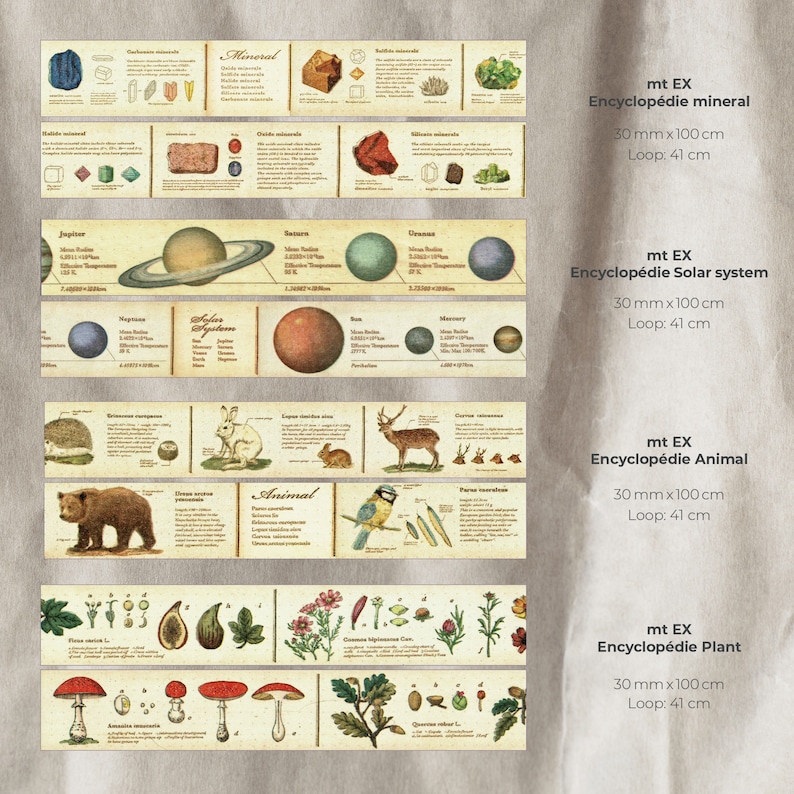 May include: Five different washi tape designs featuring illustrations of minerals, planets, animals, and plants. Each tape is 3 inches wide and 41 inches long. The tapes are labeled with the names of the categories they represent: "Mineral", "Solar System", "Animal", and "Plant".