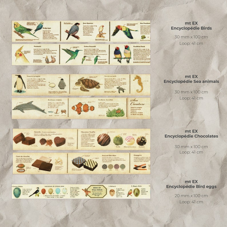 May include: Four different washi tape designs featuring illustrations of birds, sea animals, chocolates, and bird eggs. Each design includes text describing the subject matter and dimensions of the tape. The text "mt EX Encyclop&eacute;die" is featured on each design.