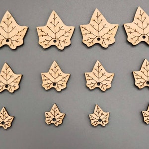 Feuilles de citrouille, feuilles découpées au laser