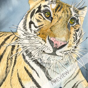 5 x 7 Tiger Watercolor Print