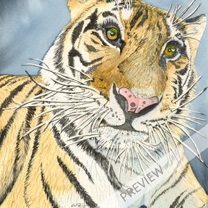 11 x 14 Tiger Watercolor Print