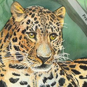 11 x 14 Amur Leopard