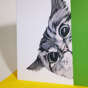 Carte de voeux chat, coucou, cadeau